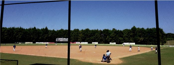 Federação Paulista de Beisebol e Softbol