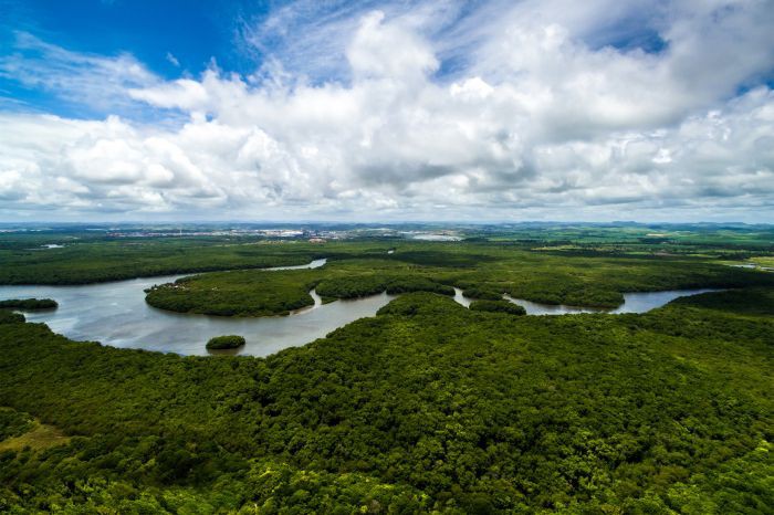 INTERNACIONALIZAÇÃO DA AMAZÔNIA